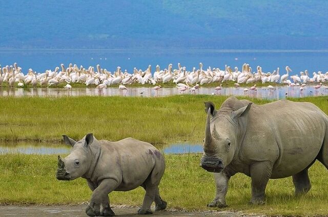 Dolu Dolu Kenya Safari Turu Rotası